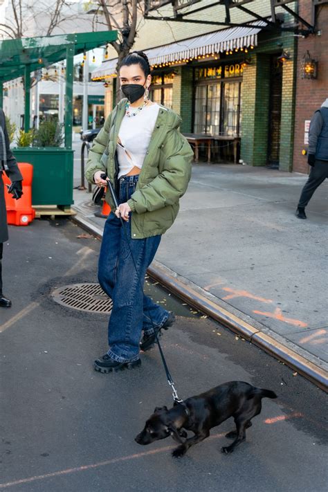 Dua Lipa Out With Her Dog In New York 12152020 Hawtcelebs