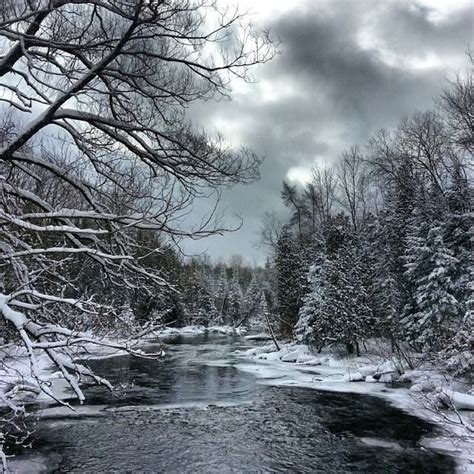 A Peaceful Pure Michigan Winter Wonderland Captured Near Kalkaska Mi