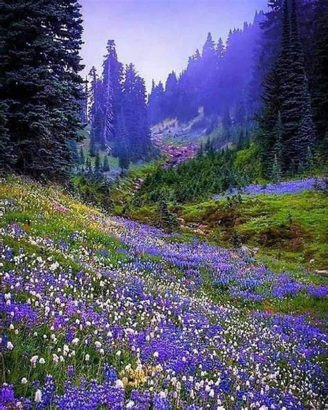 Lovin The View And Those Purples In This Pic In 2020 Beautiful