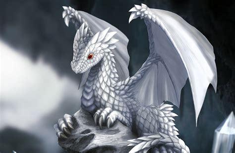 Atoz W Is For White Dragon Hatchling By Dashase Writing Dragons
