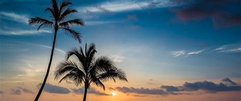Download Wallpaper 2560x1080 Palm Beach Sunset Sea Dual