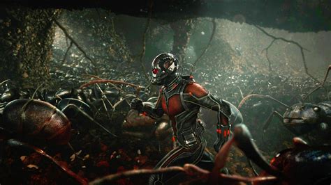 Lets Nerd Out About Ants Before You See Ant Man Wired