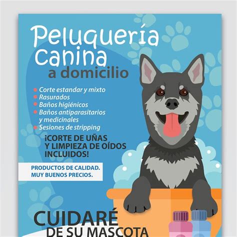 Flyer De Peluqueria Canina Peluqueria Perros Peluquer A De Perros Spa Para Perros