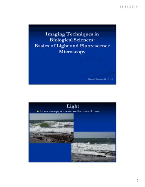 Imaging Techniques In Biological Sciences Basics Of