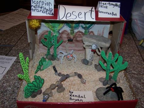 Training in drawing, modeling, game development for beginners to advanced professionals. desert biomes animals project - Google Search | Ecosystems projects, Biomes project, Habitats ...