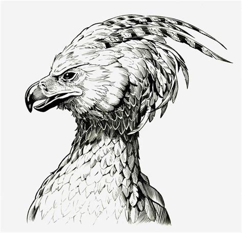 Harry potter is one of the biggest selling stories in both books and film. FAWKES THE PHOENIX by *Jerome-K-Moore | Harry potter art ...