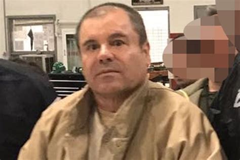 See more ideas about el chapo, chapo guzmán, el chapo guzmán. El Chapo 'trafficked 328 million lines of cocaine' into US - Mirror Online