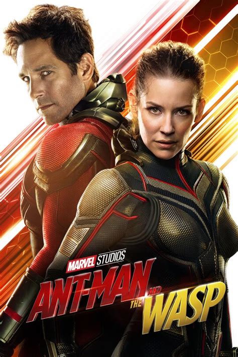 Marvel Studios Ant Man And The Wasp Disney Dvd Blu Ray And Download