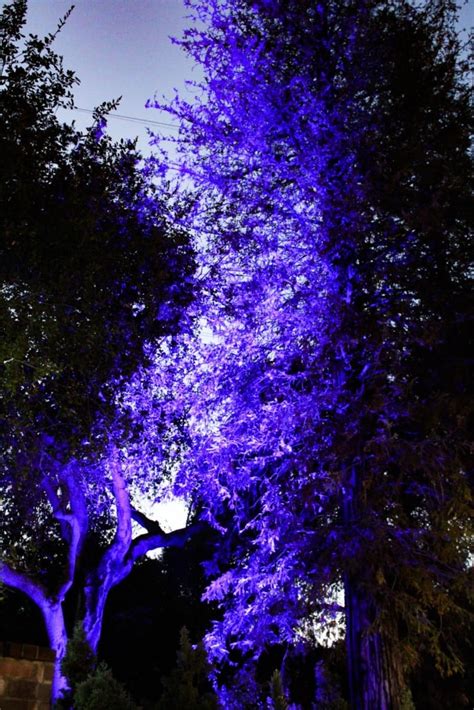 Maybe you would like to learn more about one of these? Discount Tickets to Enchanted Forest of Light at Descanso ...