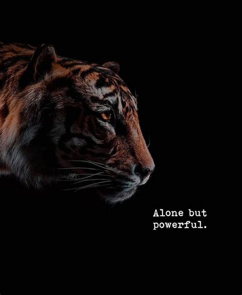 Alone But Powerful Phrases