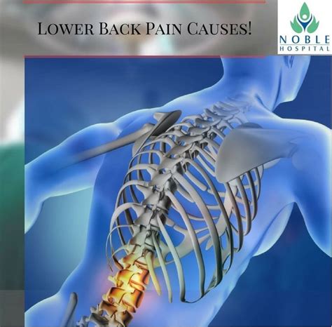 The three muscles include the biceps femoris, semimembranosus and semitendinosus. Lower back strain is caused by damage to the muscles and ligaments of the back. Learn about ...