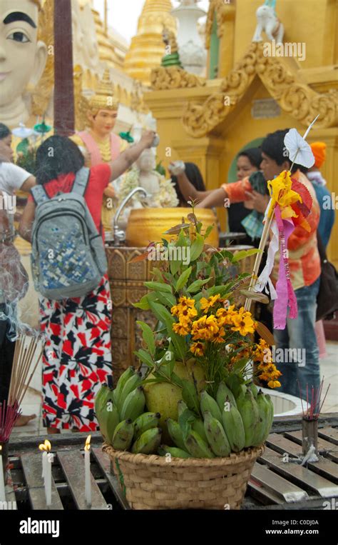 Myanmar Aka Burma Yangon Aka Rangoon Stupa Shewedagon Typical