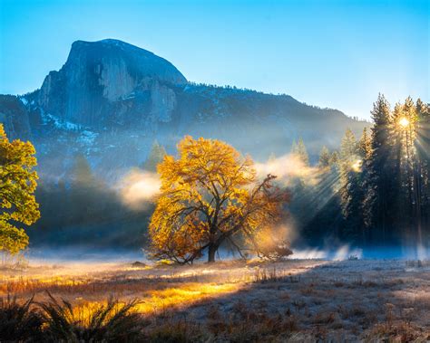 1280x1024 Autumn Morning Fog Yosemite Wallpaper1280x1024 Resolution Hd