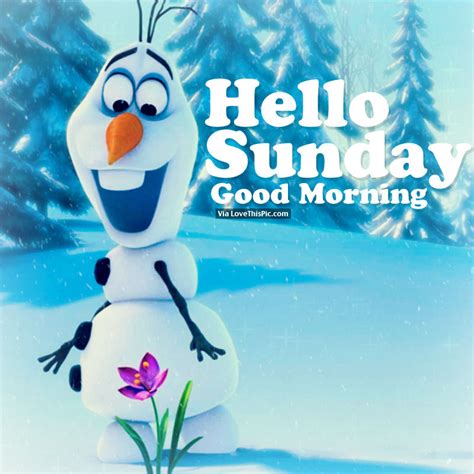 Maze karo ji … aaj sunday hai. Hello Sunday, Good Morning Pictures, Photos, and Images ...