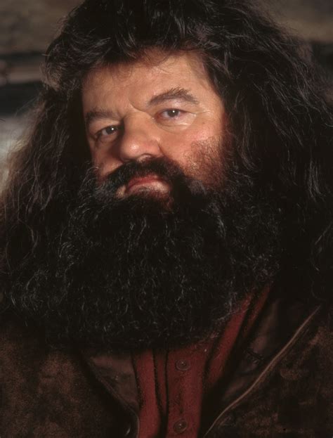 Hagrid Rubeus Hagrid Photo 40663166 Fanpop