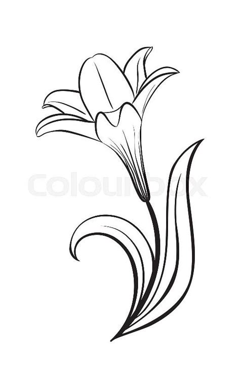 Abstract Flower Lily Vector Silhouette Stock Vector Colourbox