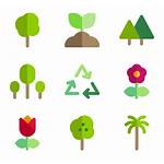 Plant Ecology Icons Icon Tree Packs Flaticon