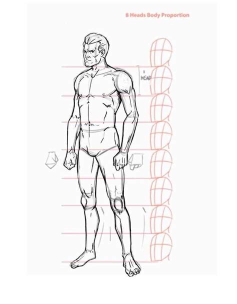 They come in handy when the body is not standing upright. How to draw the human body step by step. How to draw a ...