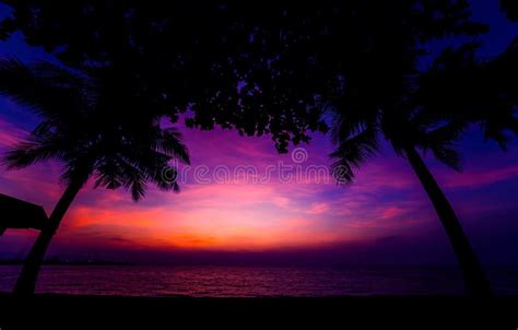 Beautiful Tropical Beach With Palm Trees Sunrises And Sunsets Ocean