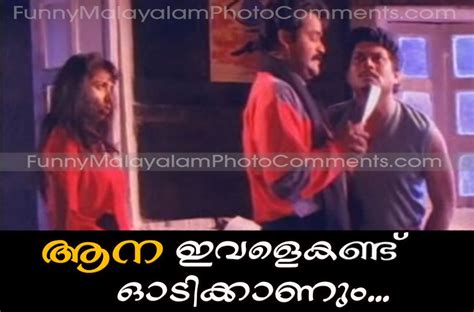 No ads, always hd experience with gfycat pro. kilukkam jagathy malayalam comedy photo comment ...