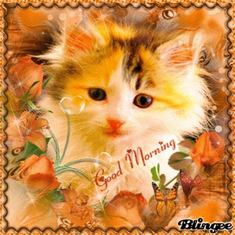 Good Morning Picture #134571551 | Blingee.com