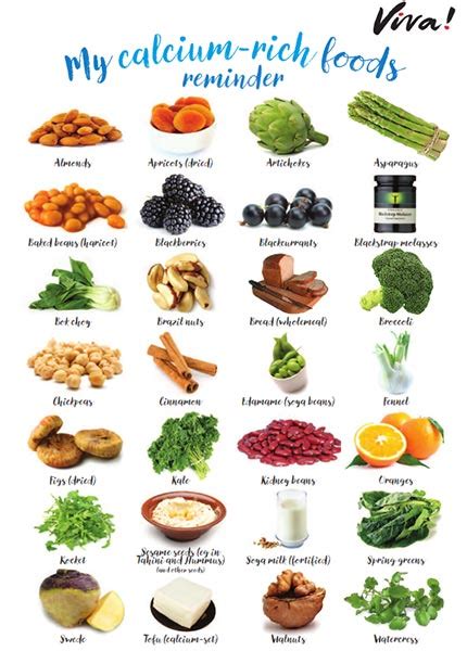 High Calcium Foods Chart Wow Image Results Calcium Charts Hot Sex Picture