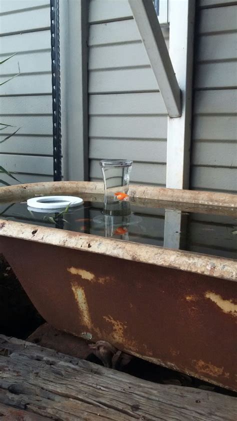By lisa | april 13, 2017. Pin by Hennie Pelser on pond | Clawfoot bathtub, Clawfoot ...