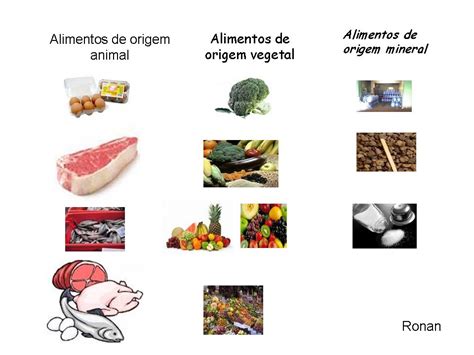 Importância Dos Alimentos De Origem Animal Vegetal E Mineral03 Brasil