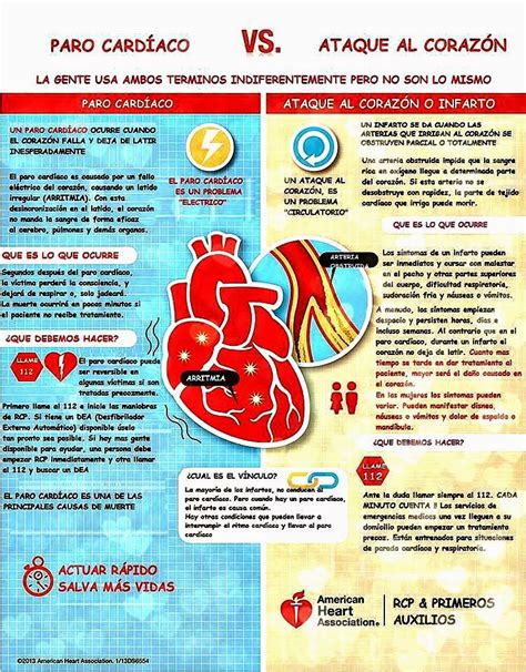 Lamina DidÁctica Diferencias Básicas Entre Un Paro Cardíaco Y Un