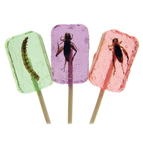 Cricket And Larva Licket Lollipops Insect Candy Educational Innovations