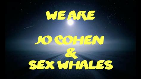 Jo Cohen And Sex Whales We Are Lyrics Youtube