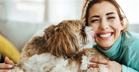 Tips For Comfortably Living In An Apartment With Pets - Elements At