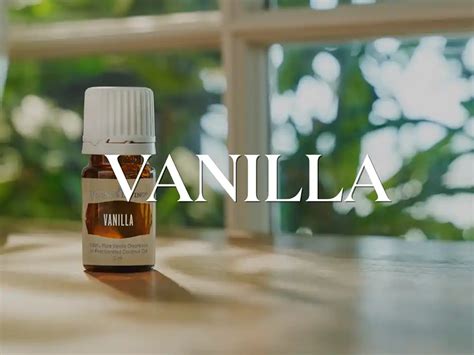 Vanilla Essential Oil Is There Such A Thing