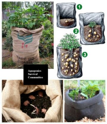 Maybe you would like to learn more about one of these? Cara Tanam Ubi Keledek Dalam Guni