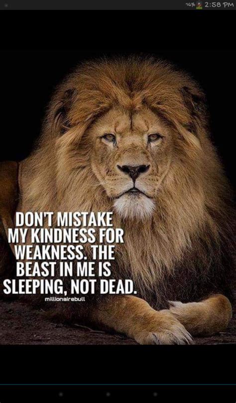 20 Best Motivational Quotes To Inspire You Lion Quotes Warrior