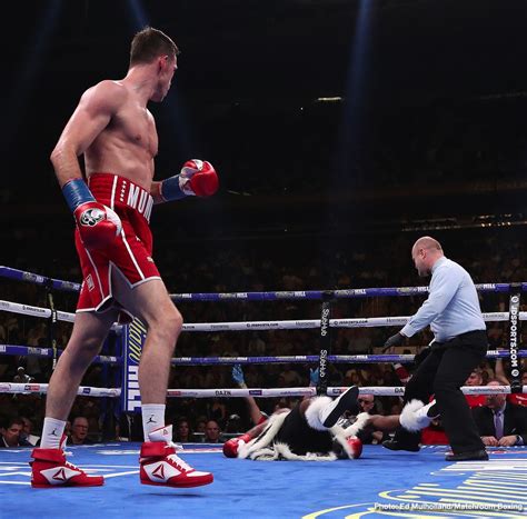 Mexican powerhouse saul 'canelo' alvarez became the new wbo light middleweight champion by stopping liam smith in the ninth round of their bout on saturday night. Liam Smith Feels His Brother Callum Would Do What He Could ...