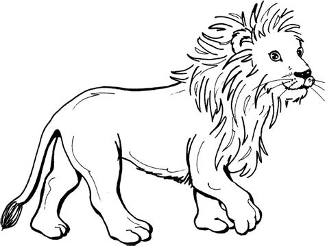 Cute Lion Coloring Pages At Getdrawings Free Download