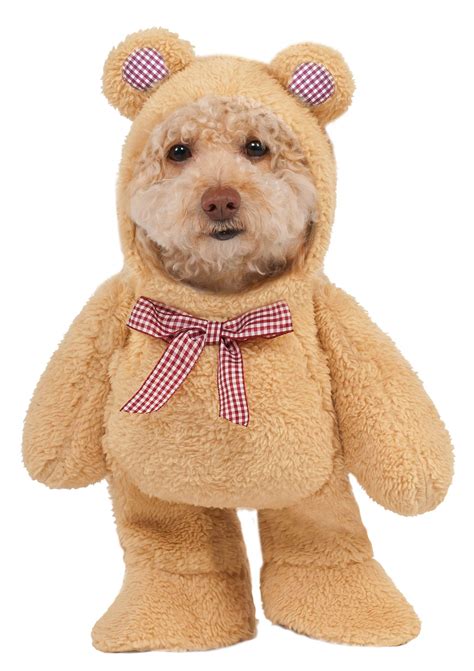 Rubies Costume Company Walking Teddy Bear Pet Suit Halloween Day