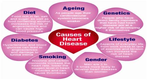 Causes Of Heart Disease Download Scientific Diagram