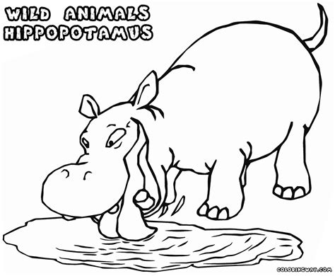 Supercoloring.com is a super fun for all ages: Wild animals coloring pages | Coloring pages to download and print
