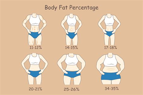 How Much Should I Weigh Ideal Body Weight Calculator For Women And Men