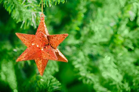 Christmas Star Decoration On Christmas Tree Stock Photo Image Of