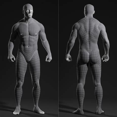 3d Male Body Wireframe Body Anatomy Anatomy Male Body