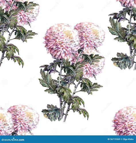 Chrysanthemum Flower Bouquet Watercolor Pattern Seamless Stock