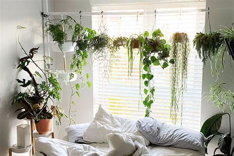 See full list on wikihow.com Hang indoor plants without hooks with this genius hack in ...