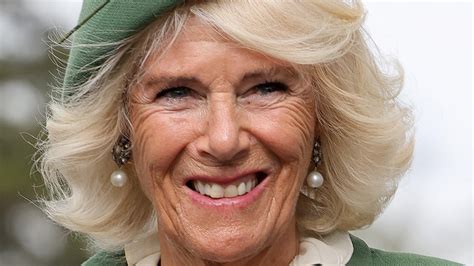 Camilla Parker Bowles Canceled A Major Appearance Amid The Queen S Health Concerns