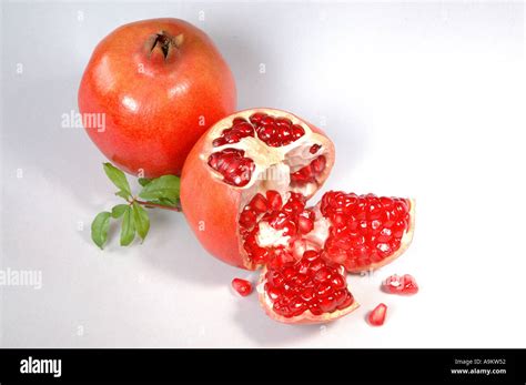 Healthy Red Color Fruit Pomegranate Dalim Punica Granatum Linn Juicy