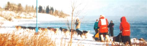 John Beargrease Sled Dog Marathon Duluth Mn 55804 Local