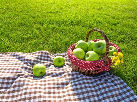 A Picnic Blanket With Apples On Grass Stock Image Image Of Food