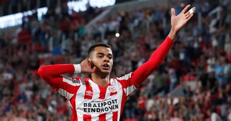 Check out his latest detailed stats including goals, assists, strengths & weaknesses and match ratings. PSV wil ook langer door met Gakpo, nieuwe verbintenis ...